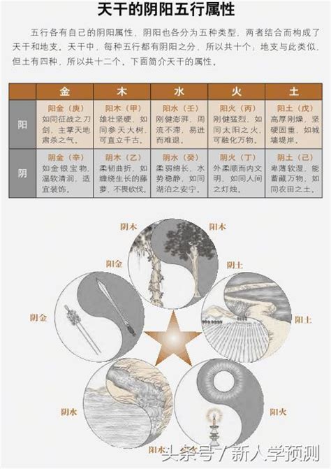 辰 屬性|【辰屬性】十二地支的奧秘：瞭解「辰」的五行真面目